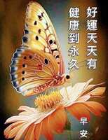 https://images.plurk.com/58qdk9MigdztVyKhk8W6K4.jpg