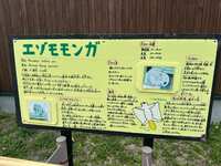 https://images.plurk.com/58uxL6lwZduMvXJyKvlGfw.jpg