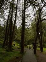 https://images.plurk.com/599TZDmMSUehVyI0nfcobB.jpg