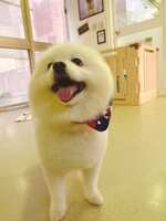 https://images.plurk.com/59AVbKGjz7sUnXvb5ZeWJG.jpg