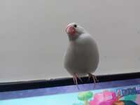 https://images.plurk.com/59I2XaEXyxqmLuQqi7tCw7.jpg