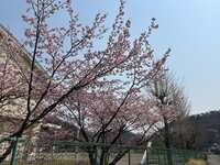 https://images.plurk.com/59J51P6oYZS7L7TD00CbvD.jpg