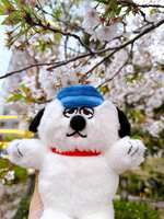 https://images.plurk.com/59Tf6LMBeRQ5I5IUQzHK34.jpg