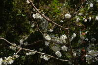 https://images.plurk.com/59V7o8LPrdOUpXtHSQ49ZS.jpg