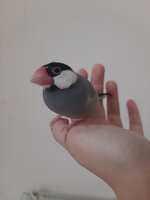 https://images.plurk.com/59VweQ3WH9pyYq02zogOMA.png