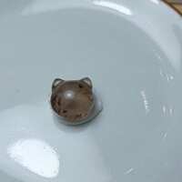 https://images.plurk.com/59bLOfUQrs6aBA6zpcgc80.jpg