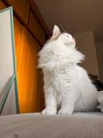 https://images.plurk.com/59gjaGfDFg1yd09XRS8M6E.jpg