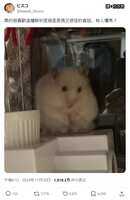 https://images.plurk.com/59tjaorLAHMOdjB6cHiILe.jpg