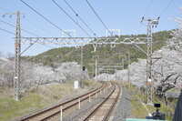 https://images.plurk.com/59wi969SOSwS5kJV6hZhIG.jpg