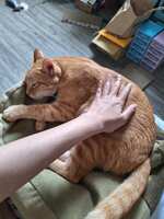 https://images.plurk.com/5A122CtpNY6eVq0jM9N21T.jpg