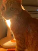https://images.plurk.com/5A7lGUPrhvh0tvY3UdS24w.jpg