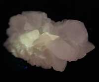 https://images.plurk.com/5AC5QNU5WmxPRmNrVqc1wh.jpg