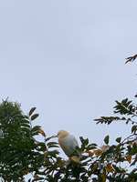 https://images.plurk.com/5AJDlg1VuSNyP5O0YE8NOP.jpg