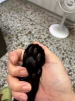 https://images.plurk.com/5AM7afzu3ISfvXzwBXF0EO.jpg