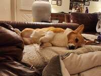 https://images.plurk.com/5AQcgTKgFGJx2TYyc5iVS4.jpg
