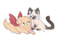 https://images.plurk.com/5AcMqjjSePwvCACZ9gieNJ.png