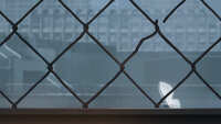 https://images.plurk.com/5AoLZvC3k9B7hsXyOFGse8.jpg
