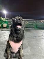 https://images.plurk.com/5As8WSCeH0e6hmIF6zFPtR.jpg