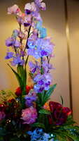 https://images.plurk.com/5AuJNzVxYXiTTPeJVky0RH.jpg