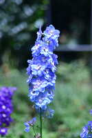 https://images.plurk.com/5AyWjTQS0h9k3ICpUyE25c.jpg