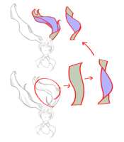 https://images.plurk.com/5B3RnGFgoFwH2FZr1lVsWA.png