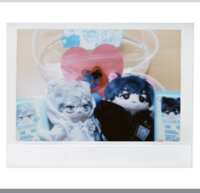 https://images.plurk.com/5B5GbLcAvL4WhOXkgp60Hk.png