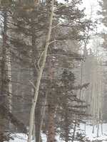 https://images.plurk.com/5B5yGNgzQCgfHMknE13Fnu.jpg