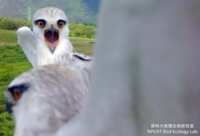 https://images.plurk.com/5BEpSpReDYEytIMXUSK5Nx.png