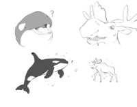 https://images.plurk.com/5BGuUR03aoyplvnIBkwLGC.png