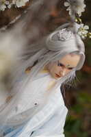 https://images.plurk.com/5BOJAs9ORgVWw7CdRShAI.jpg