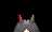 https://images.plurk.com/5BWy2rA6EeIrgelrm6Lw4d.gif