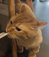 https://images.plurk.com/5BdW5jlXwT6LaRW4x0tDu1.jpg