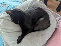 https://images.plurk.com/5Bg51lCk9wreguSFcpbrh9.jpg
