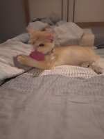 https://images.plurk.com/5Bhd5LcO9SMtkAcPdNXA1d.jpg