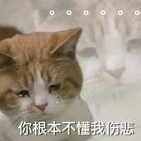 https://images.plurk.com/5Bmp5ETqlURZ4HtBPXkJTF.jpg