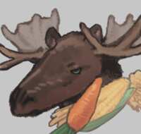https://images.plurk.com/5BnFpoEYMTyj93X63JDuF1.png