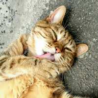 https://images.plurk.com/5Bzec1EBDRWvEA4gpAunfh.jpg