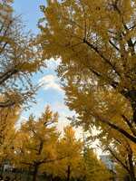 https://images.plurk.com/5C6MvQLoDfd22KZd160EG9.jpg