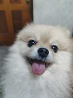 https://images.plurk.com/5C7Ze0i31quYvRYnGdE6w6.jpg