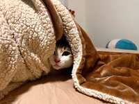 https://images.plurk.com/5CQsPr1BliduIj7d3ev5Vn.jpg