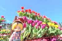 https://images.plurk.com/5CSDwwZx1br9iGtCMwvJ6M.jpg
