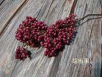 https://images.plurk.com/5CXvXq2TGfSJFFjJJ8RGFP.png