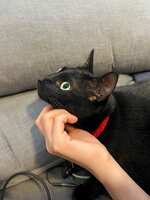 https://images.plurk.com/5CYLOemtrz2FVpbezh3jRf.jpg