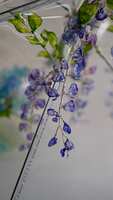 https://images.plurk.com/5Cm2zNuQPUJZpqO5H6slMt.jpg