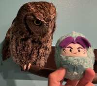 https://images.plurk.com/5Cx78QUtgknggmhhla5BDm.jpg