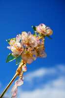 https://images.plurk.com/5D3fkWnwflUrXHUldeL8jo.jpg