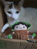 https://images.plurk.com/5DMnsQEFs4ReTddRvd3QvW.jpg