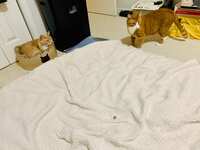 https://images.plurk.com/5DSe6DIg2Zo0183FKwN18p.jpg