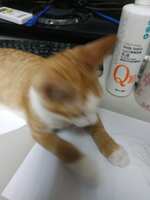 https://images.plurk.com/5DTrsMDeIKPbaIozU2jkzz.jpg