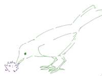 https://images.plurk.com/5DZISbbWZ6IHSU0P7S2F5Z.png